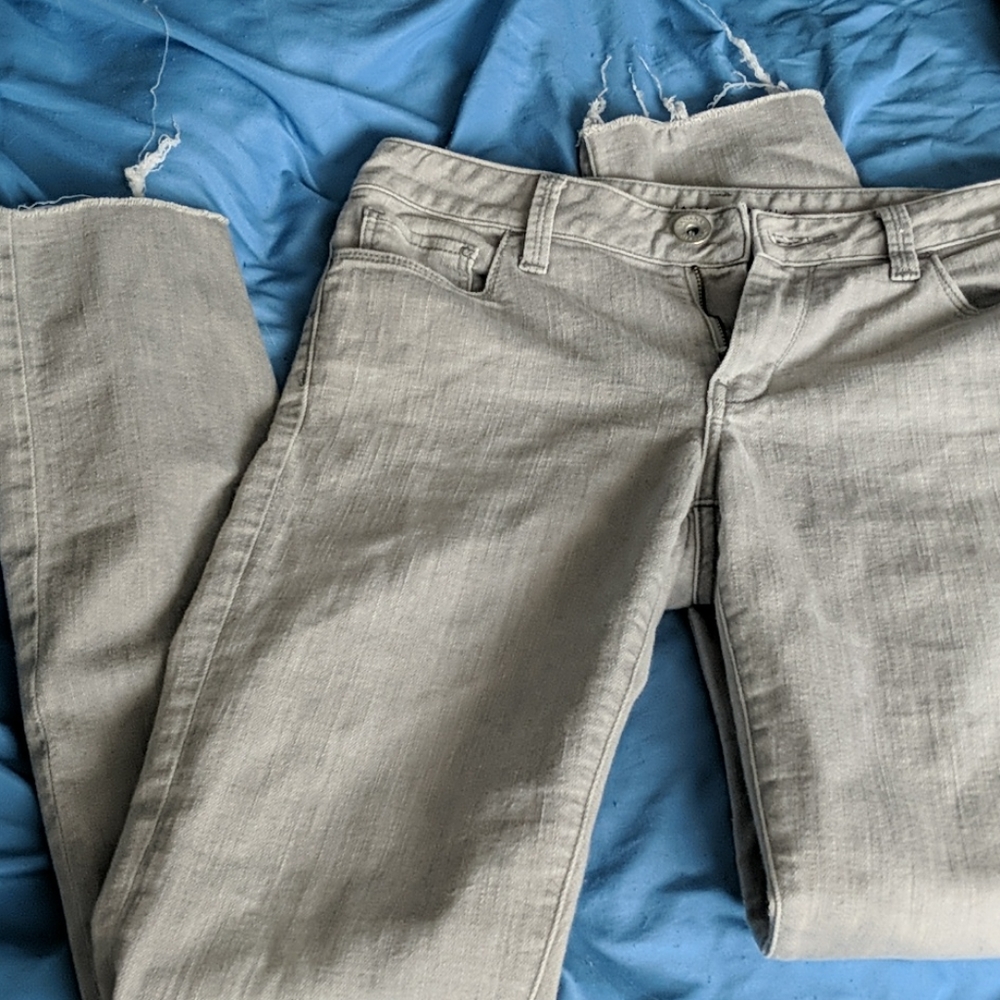 Banana Republic Gray Pants (26)